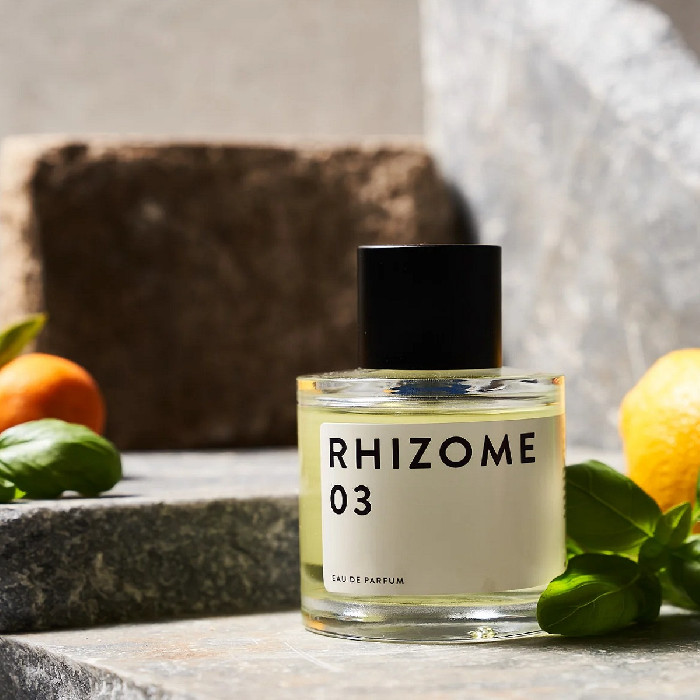 RHIZOME 03 :: Amazingstore